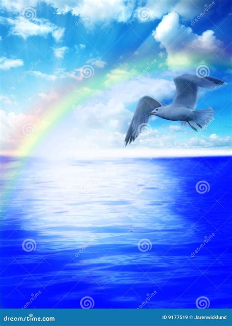 在海鸥水 库存图片. 图片 包括有 相当, 飞行, 超过, 宁静, 云彩, 平安, 日出, 双翼飞机, 安静 - 9177519
