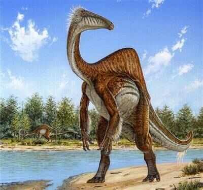 Teeth help identify six dinosaurs in Spain - Times of India