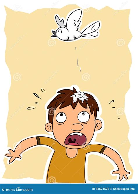 Image result for Bird Poop Reactions