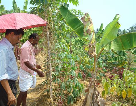 IDR(Institute of Development Research) | Gallery