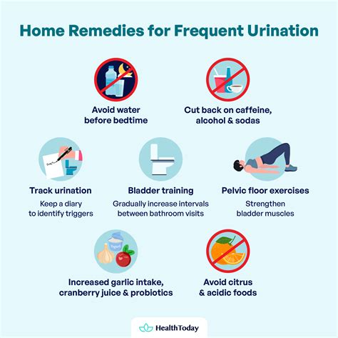 Frequent Urination With Pain | Kidney Disease and Other Causes - HealthToday