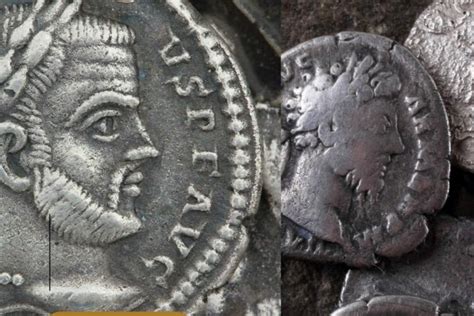 Image result for Coin Collection Value Program