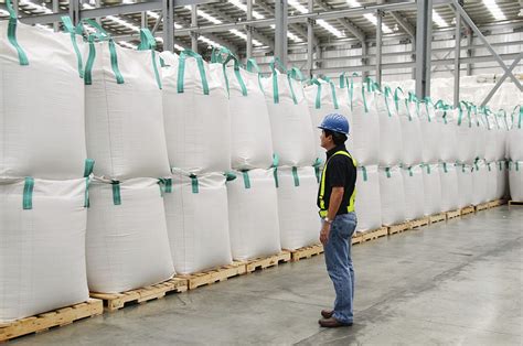 Bulk Container Loading 的图像结果