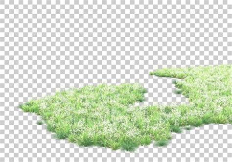 Green lawn on transparent background 3d rendering illustration ...