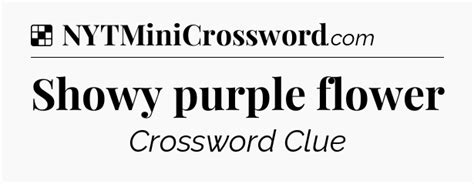 Showy purple flower NYT Crossword Clue