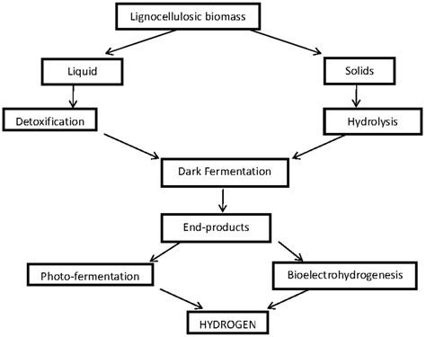 Biohydrogen Production from Lignocellulosic Biomass: Technology and ...