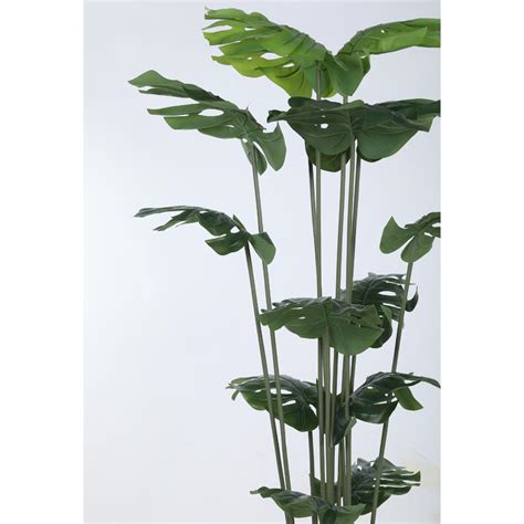 Buy Home Bloom Beautiful Artificial Monstera Plant with Big with Pot Online