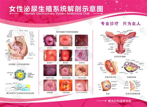 Image result for Virtual Science Lab