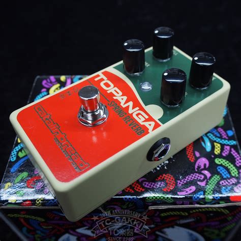 Image result for Catalinbread Spring Reverb