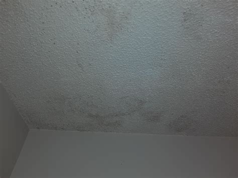 Tips for cleaning mold/mildew off popcorn ceiling without damaging ...