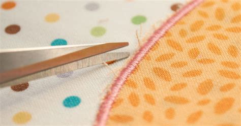 Image result for Create Applique by Scanning Dream Machine 2 Tutorial