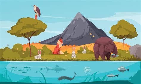 Background for Biology 的图像结果