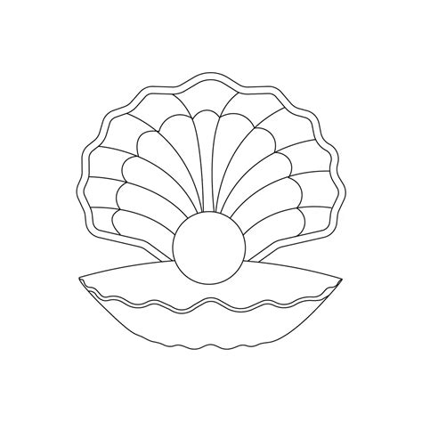 Seashell Drawing Tutorial 的图像结果