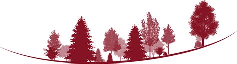 Image result for Reverse Angle Tree Felling Cut