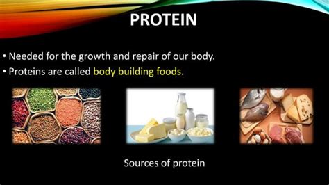 Image result for Science Class 6 Chapter 2 Components of Food