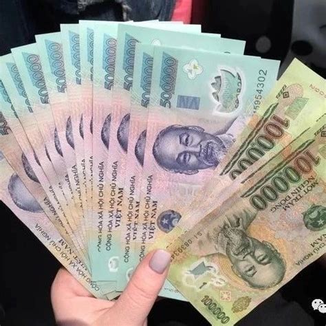 去越南需要兑换美元吗，去越南用什么货币好 - 马蜂窝