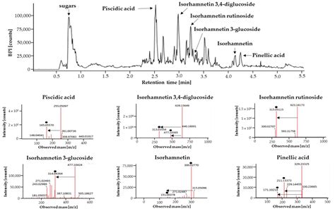 Inhibitory Effect of Opuntia humifusa Fruit Water Extract on Solar ...