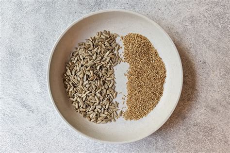 Find the Best Substitute for Chia Seeds