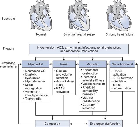 Acute decompensated heart failure - Clinical Tree