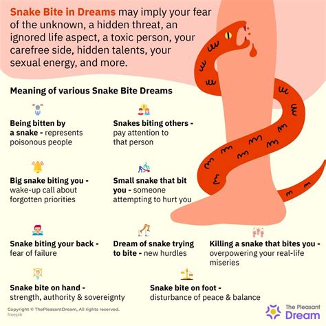 Dream meaning for snake bite 60 photos - Astrologytoyou.com