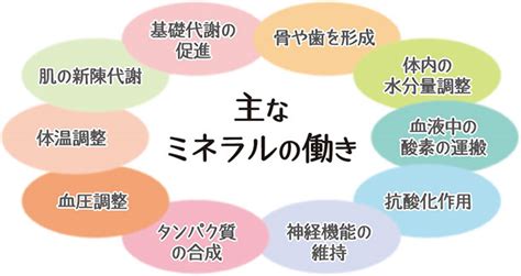 Image result for Text Types Example of Enumeration Listing