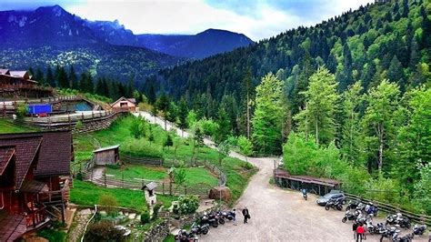 PENSIUNEA VANATORUL (Durau) - Pension Reviews & Photos - Tripadvisor