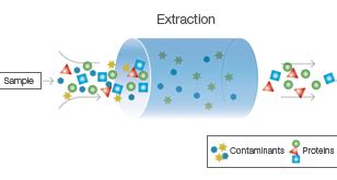 Image result for Extraction Chemistry Experiments