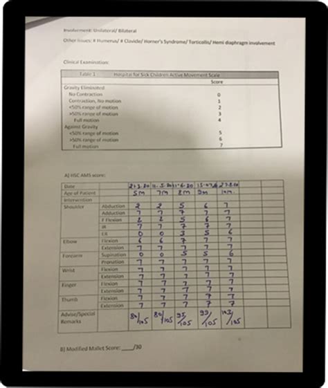 Commom Questions In Brachial Plexus Birth Palsy | Blog