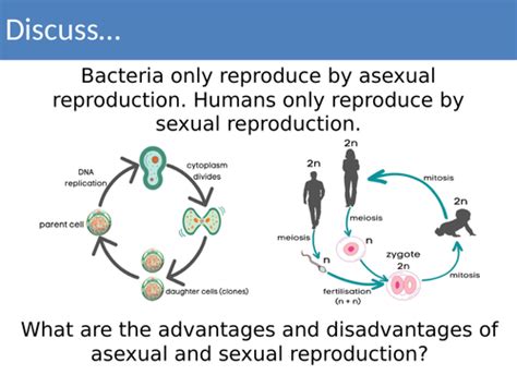 Image result for Reproduction Examples Biology