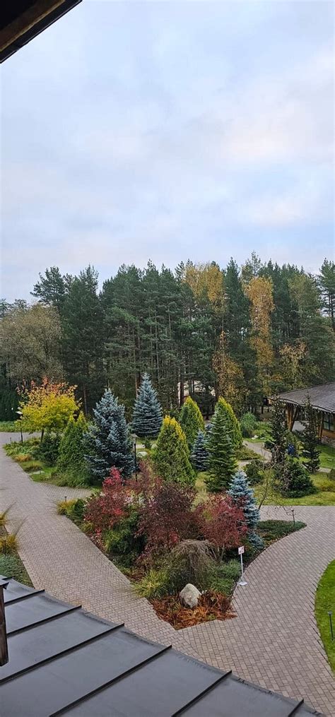 АРТИЛЕНД (Балашиха) - отзывы и фото - Tripadvisor