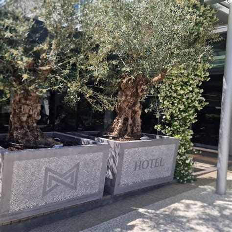 HOTEL MONDO (Split) - Hotel Reviews, Photos, Rate Comparison - Tripadvisor