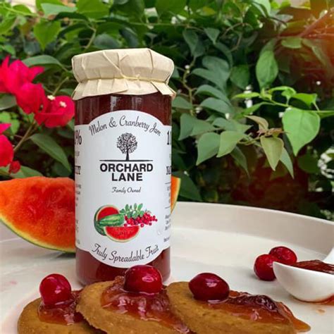 Melon and Cranberry Jam - Gabbar Farms