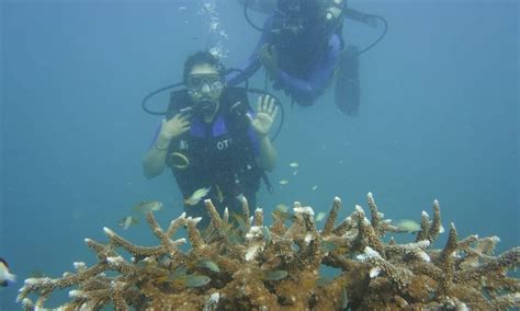 OCEAN TRIBE SCUBA DIVING (2026) All You Need to Know BEFORE You Go ...