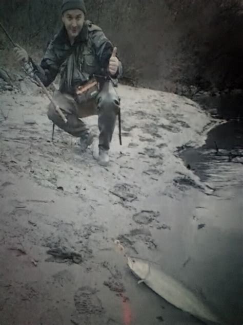 Huko huko kup: Ulovljeno sedam mladica- Jajčanin najbolji | Foča24 ...