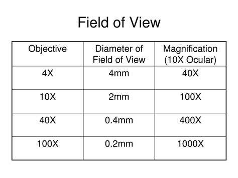 PPT - Using a Microscope PowerPoint Presentation, free download - ID:693423