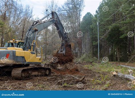 Image result for Planting Tree with Backhoe
