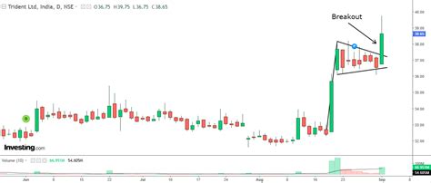 Stock Rallies Amid Bullish Pennant Breakout with a 6% Move! | Investing ...