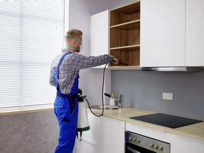 Pest Control New York - Professional pest control Services in New York