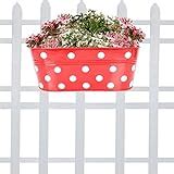 TrustBasket Dotted Oval Railing Planter for Balcony with Detachable ...