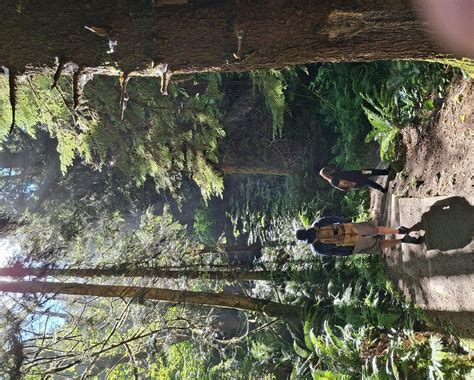 KALALOCH BEACH TRAIL 4 - All You Need to Know BEFORE You Go 2026 (with ...