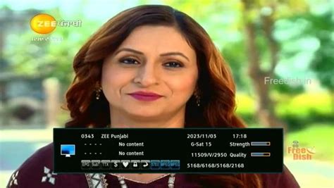 Zee Punjabi TV channel left from DD Free Dish