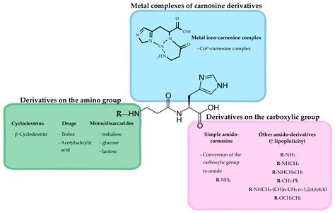 The Therapeutic Potential of Novel Carnosine Formulations: Perspectives ...