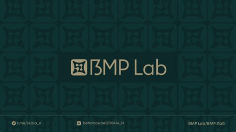 Image result for Sample BMP Lab