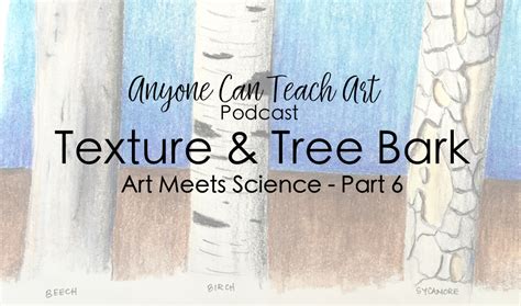 Image result for Tree Texture Drawing Contrast