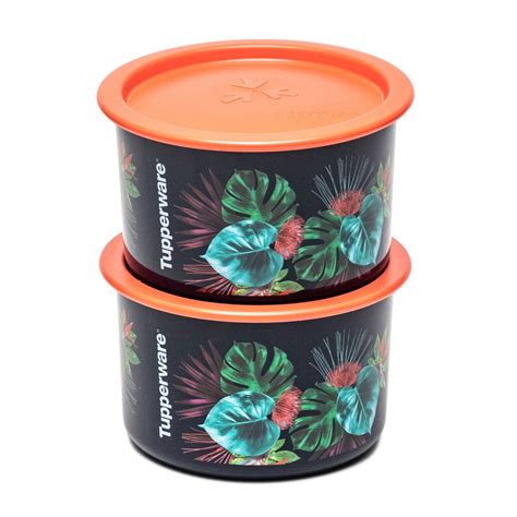 Buy Tupperware Dry Fruits Plastic Storer OTT 650ml Mahalo 2pc Online at ...