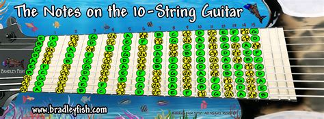 Image result for 10 String Guitar Lessons