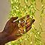 Buy MoonlitDreams Fairy Leaf Curtain LED String Light 10 Diyas 96 LED 3 ...