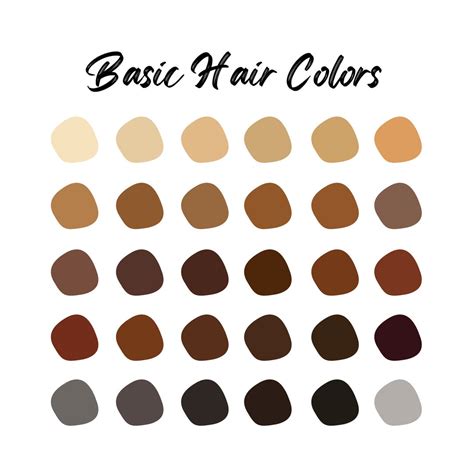 Basic Hair Color Tutorial 的图像结果
