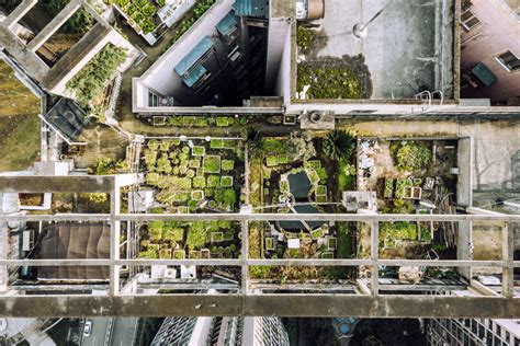 Local Sustainable Development 的图像结果