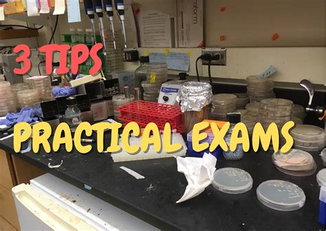 Image result for Practical Exams Explained